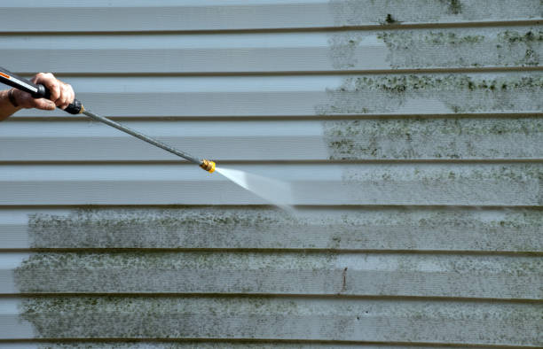 Best Roof Pressure Washing  in Alburtis, PA